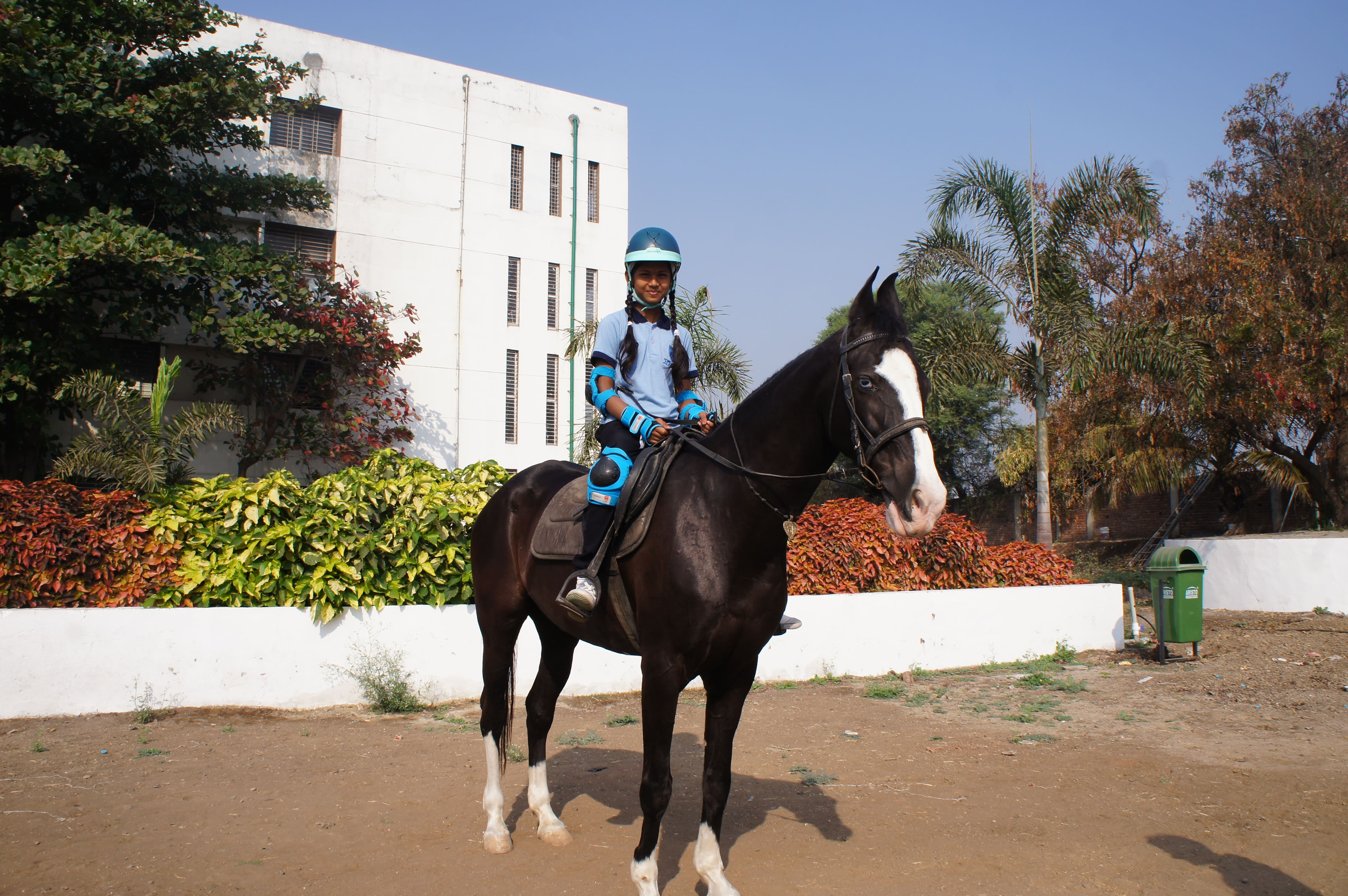 Horse Riding